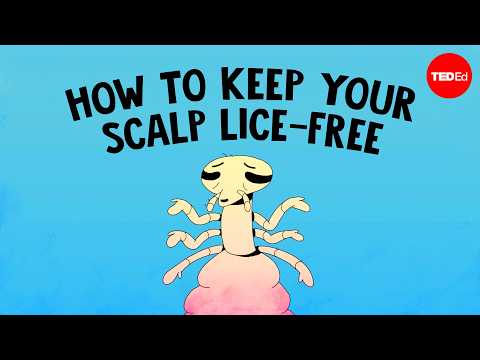 This is the most common way to get head lice - Nazzy Pakpour