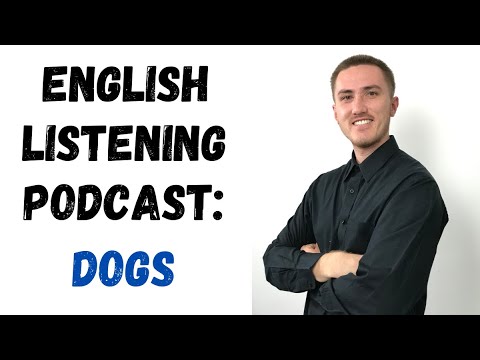 English Listening Practice Podcast - Dogs